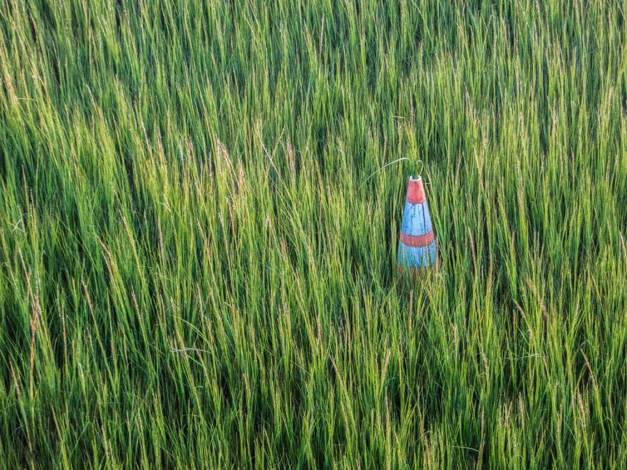 traffic cone hiding in grass
