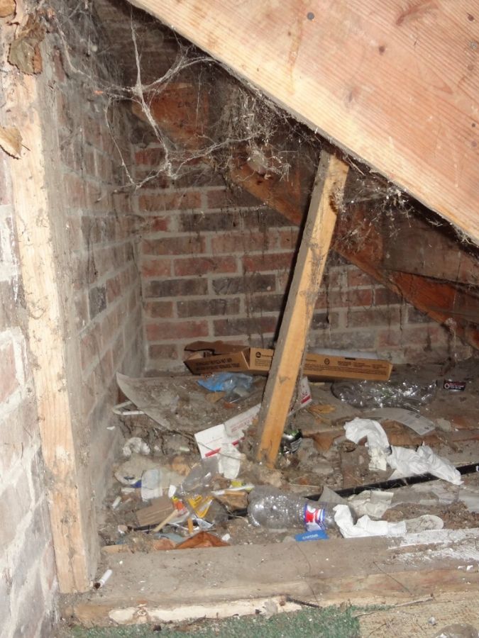 genesis apartments under stairs 2