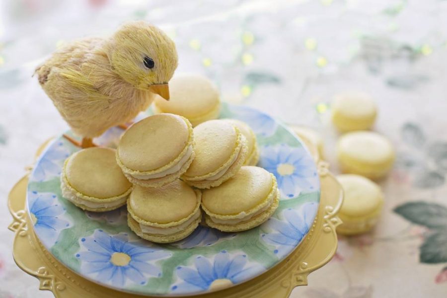 vegan treats for easter with stuffed chick